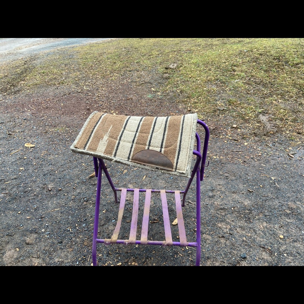 Western pony saddle pad